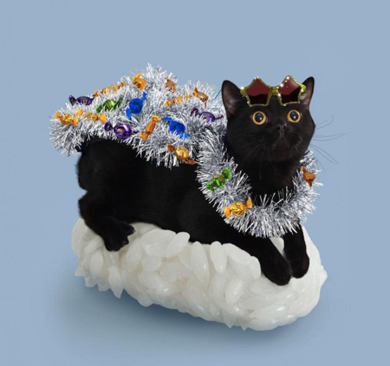 骑在寿司上的戴着花环、戴着星星太阳镜的猫咪