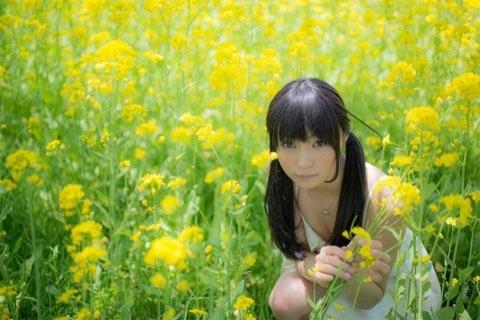 小出友华蹲在油菜花丛中