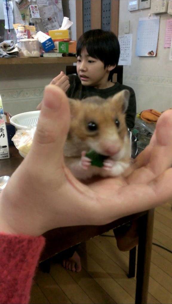 弟弟发现手指破了，龇牙咧嘴的惊讶神情