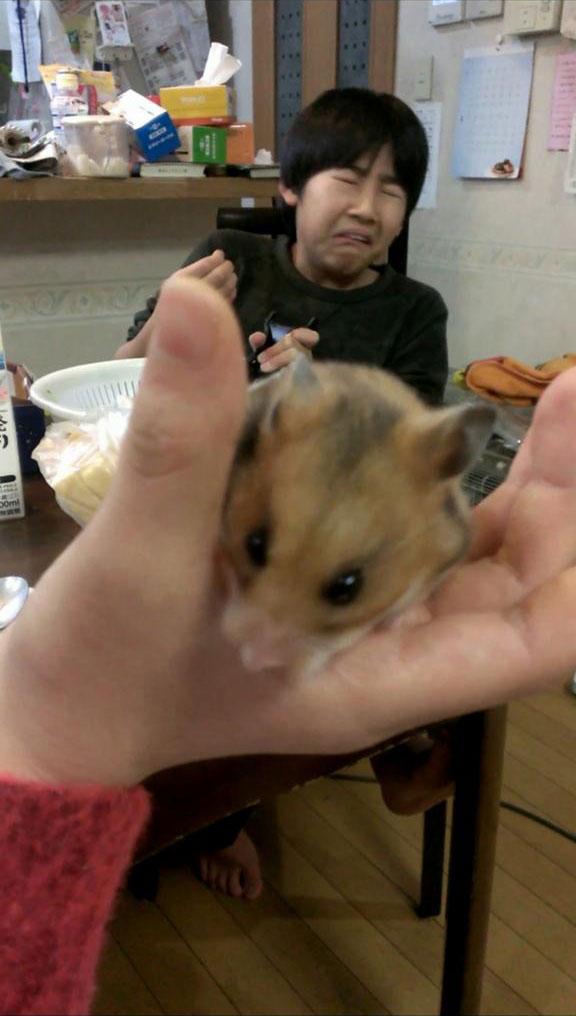 手指被切到了，弟弟痛苦地表情，小仓鼠无辜的神情：不是我咬滴！