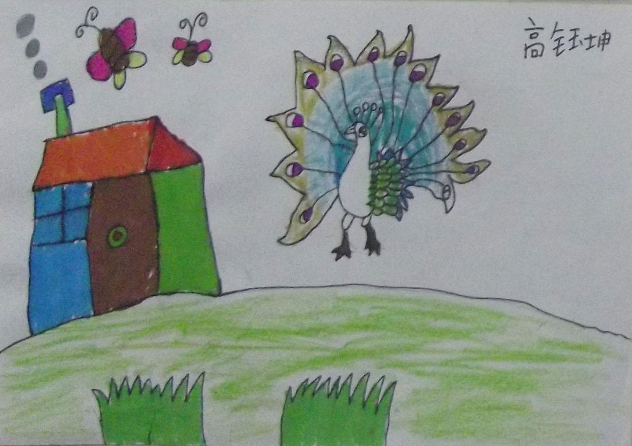 孔雀开屏 高钰坤画