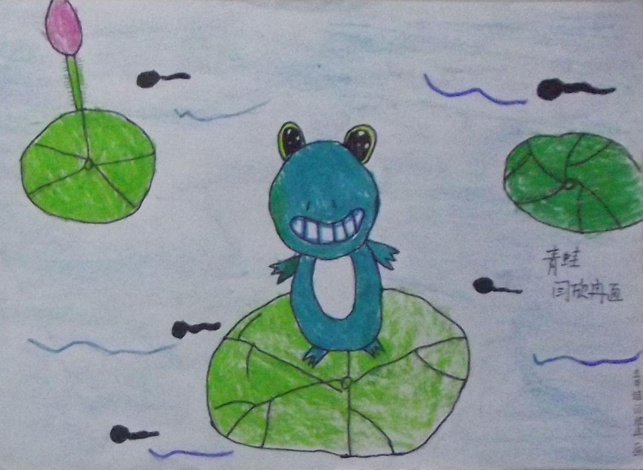 青蛙 闫欣冉画