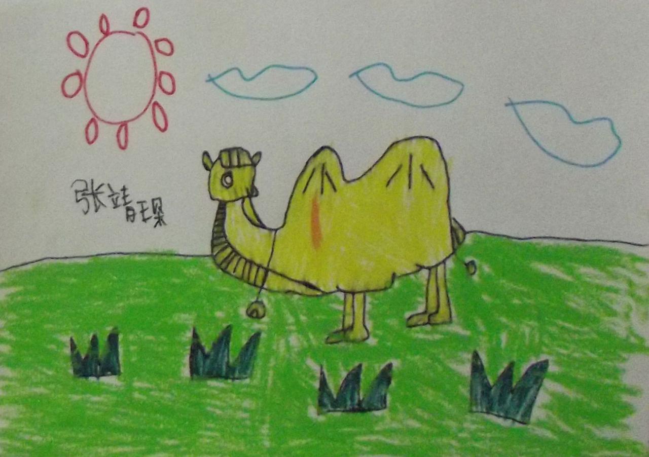 骆驼 张靖琛画