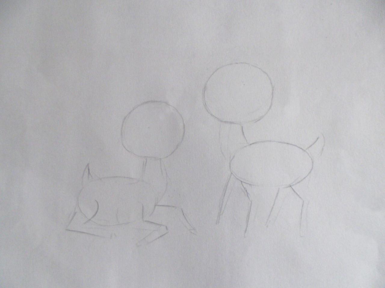 第一步，确定小鹿的位置及大小比例关系