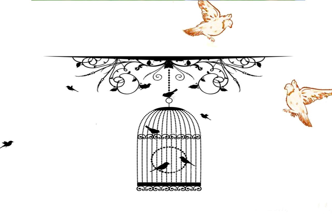 灼漪漪南小鸟Cosplay页脚花边装饰