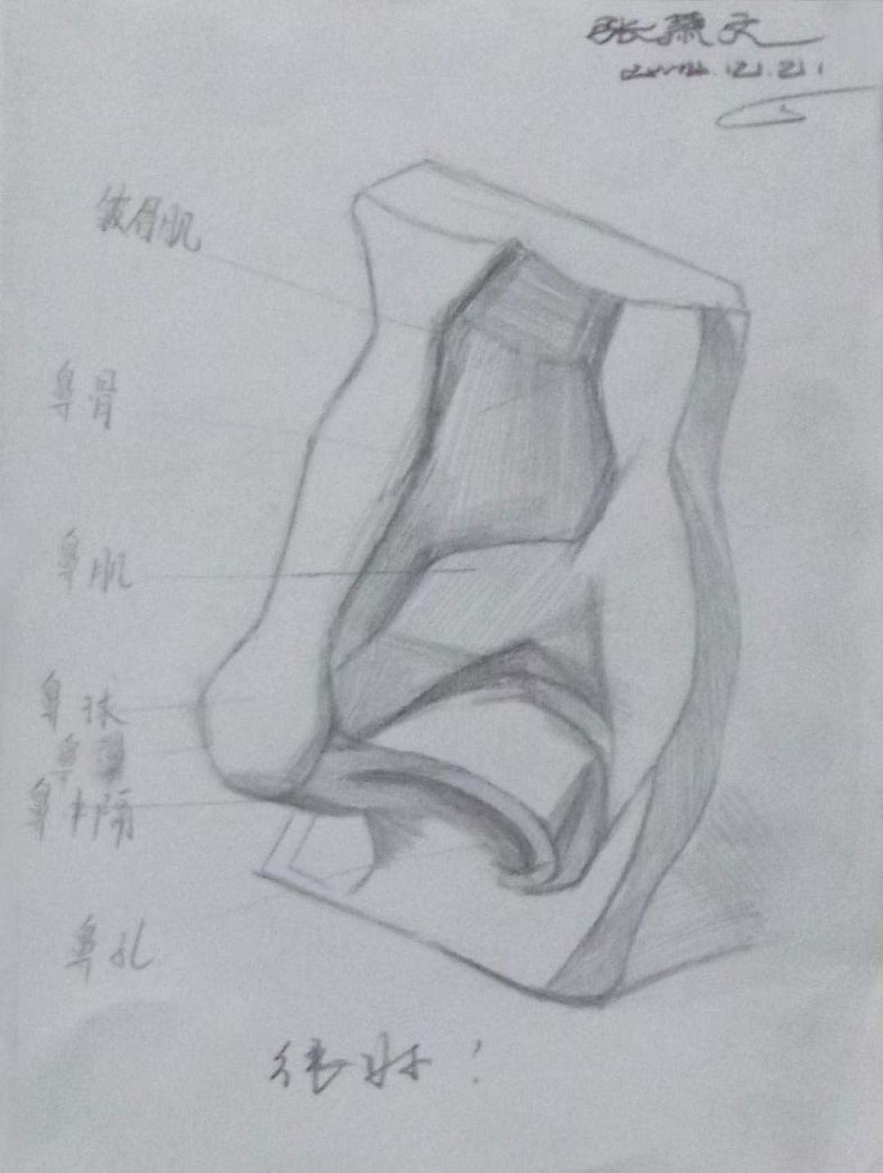 石膏鼻子 素描 张萧文