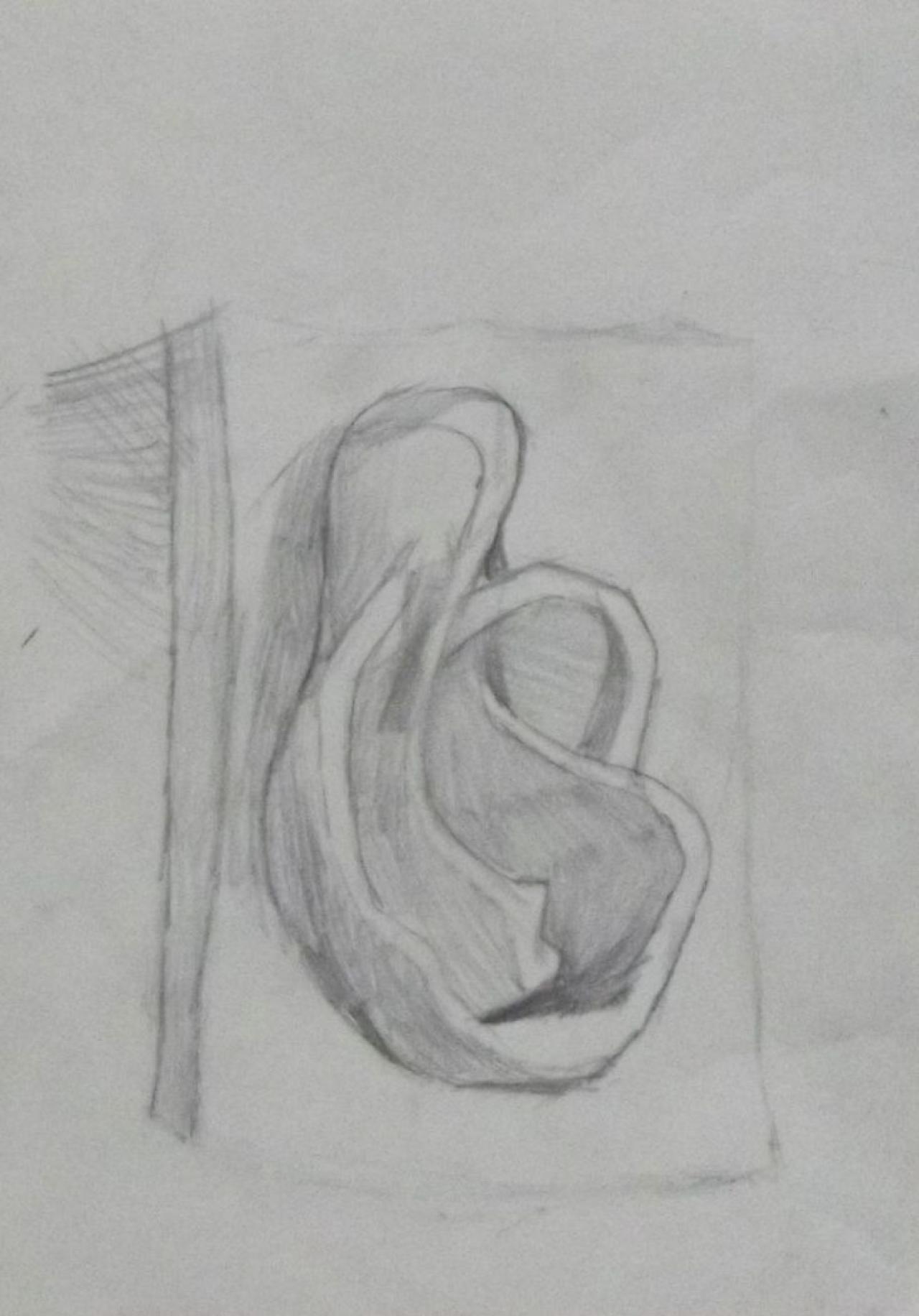 石膏耳朵 素描 赵启煜画