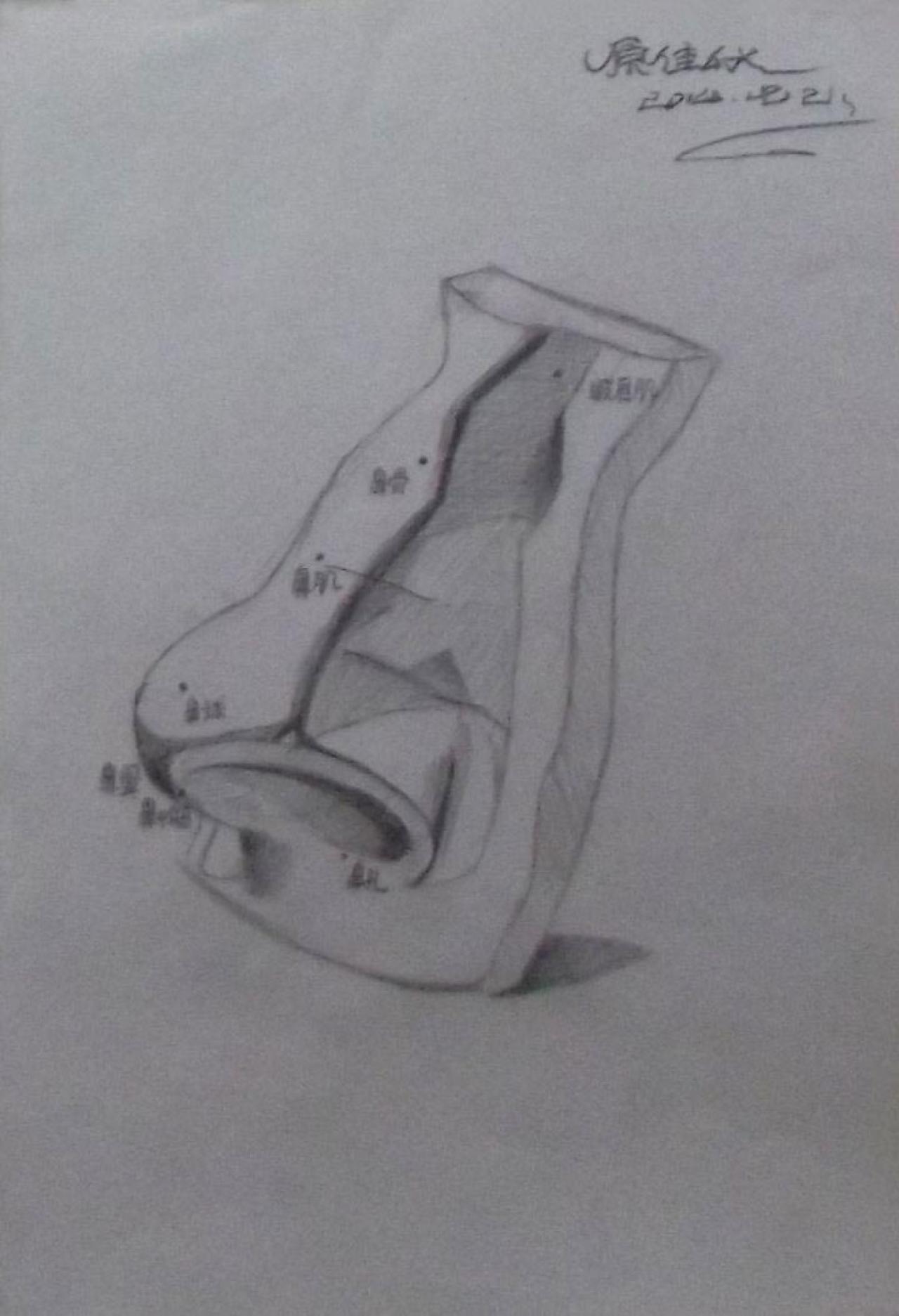 石膏鼻子 素描 原佳仪画