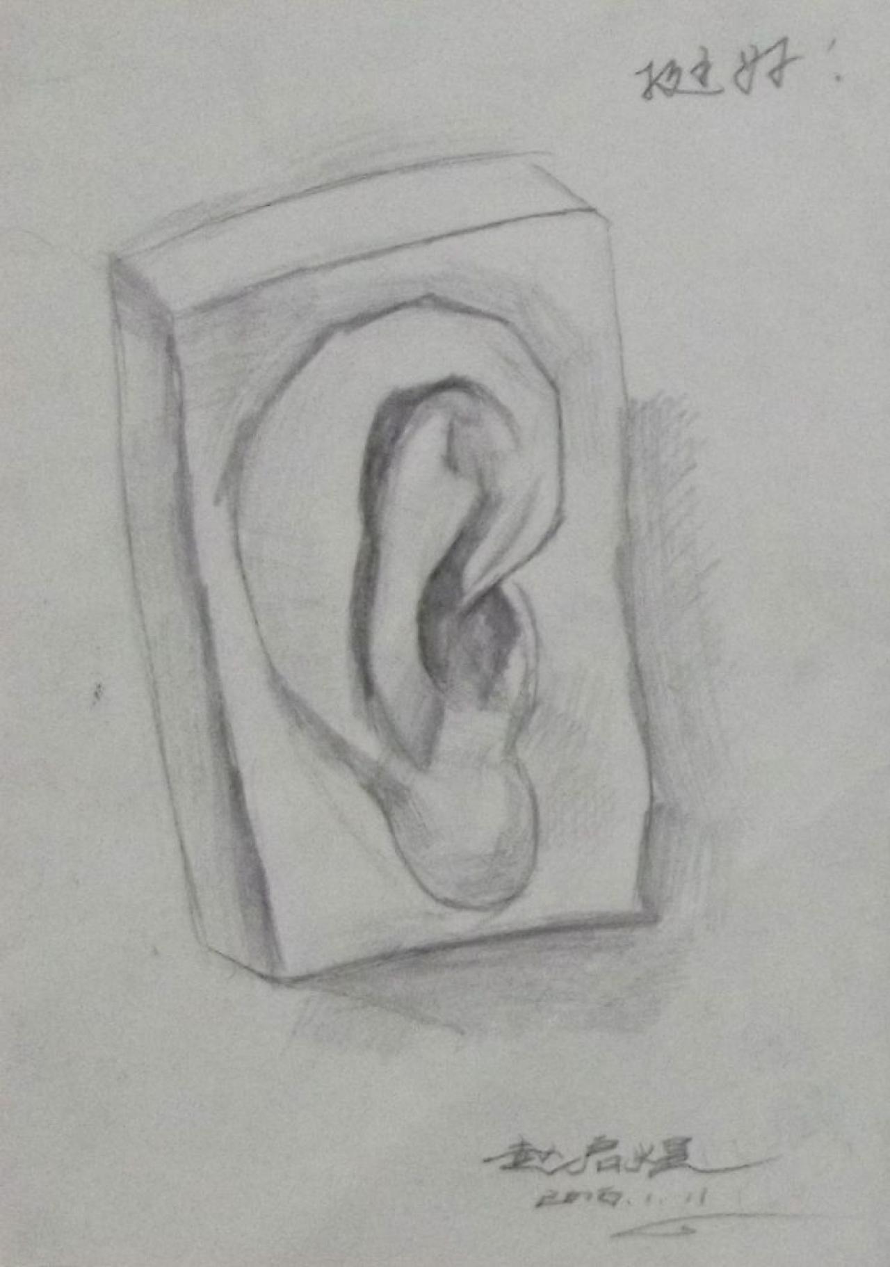 石膏耳朵 素描 赵启煜画