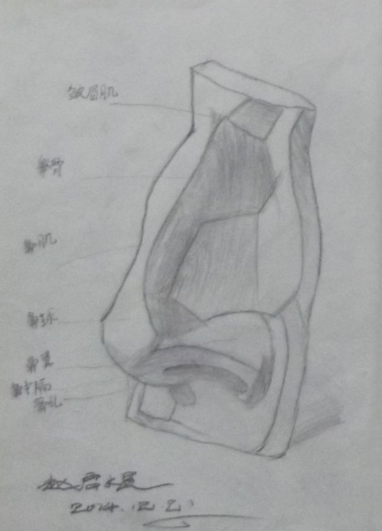 石膏鼻子 素描 赵启煜画