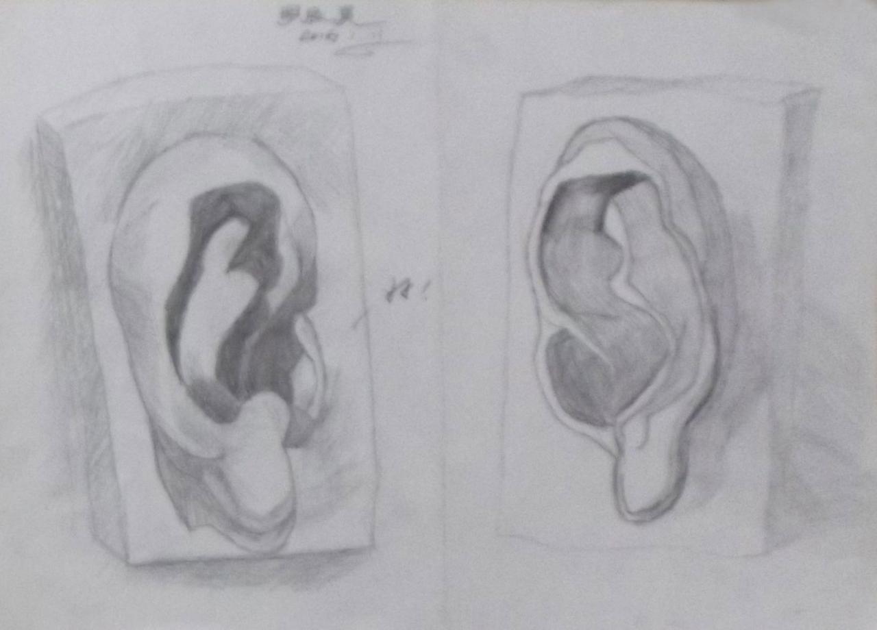 石膏耳朵 素描 罗辰昊画