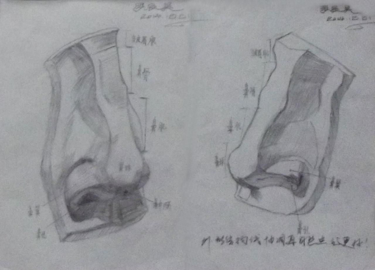 石膏鼻子 素描 罗辰昊画