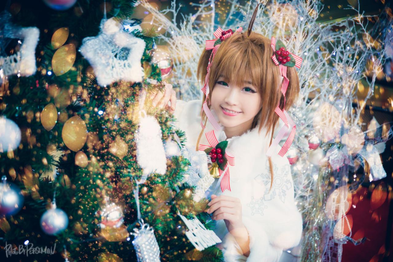 tomia兔娘扮木之本樱藏在圣诞树后，露出半个身子