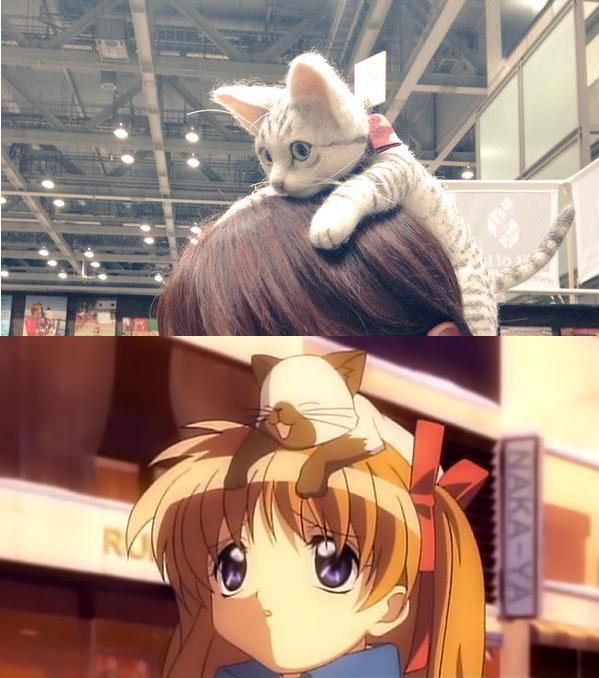 Design Festa展会现场的猫咪发箍佩戴效果和动画《AIR》中扒在神尾观铃头上的猫咪对比图