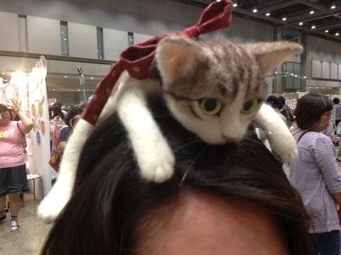 猫咪发箍佩戴效果正面照