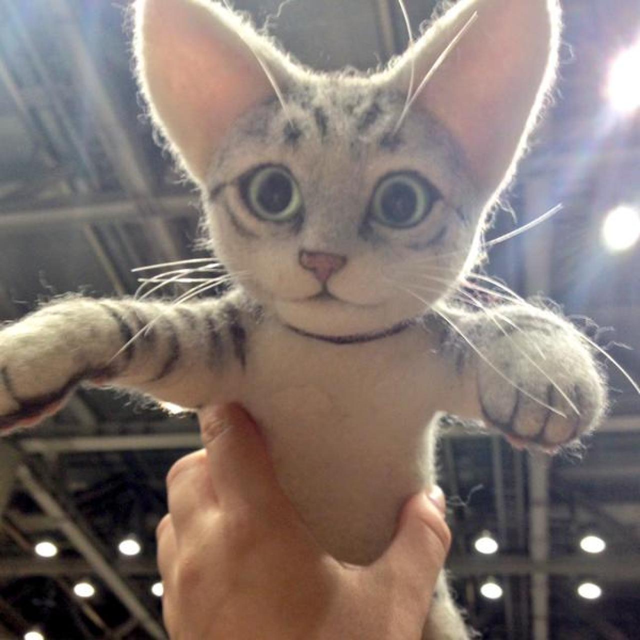 扒在头上猫咪玩偶无发箍款正面特写