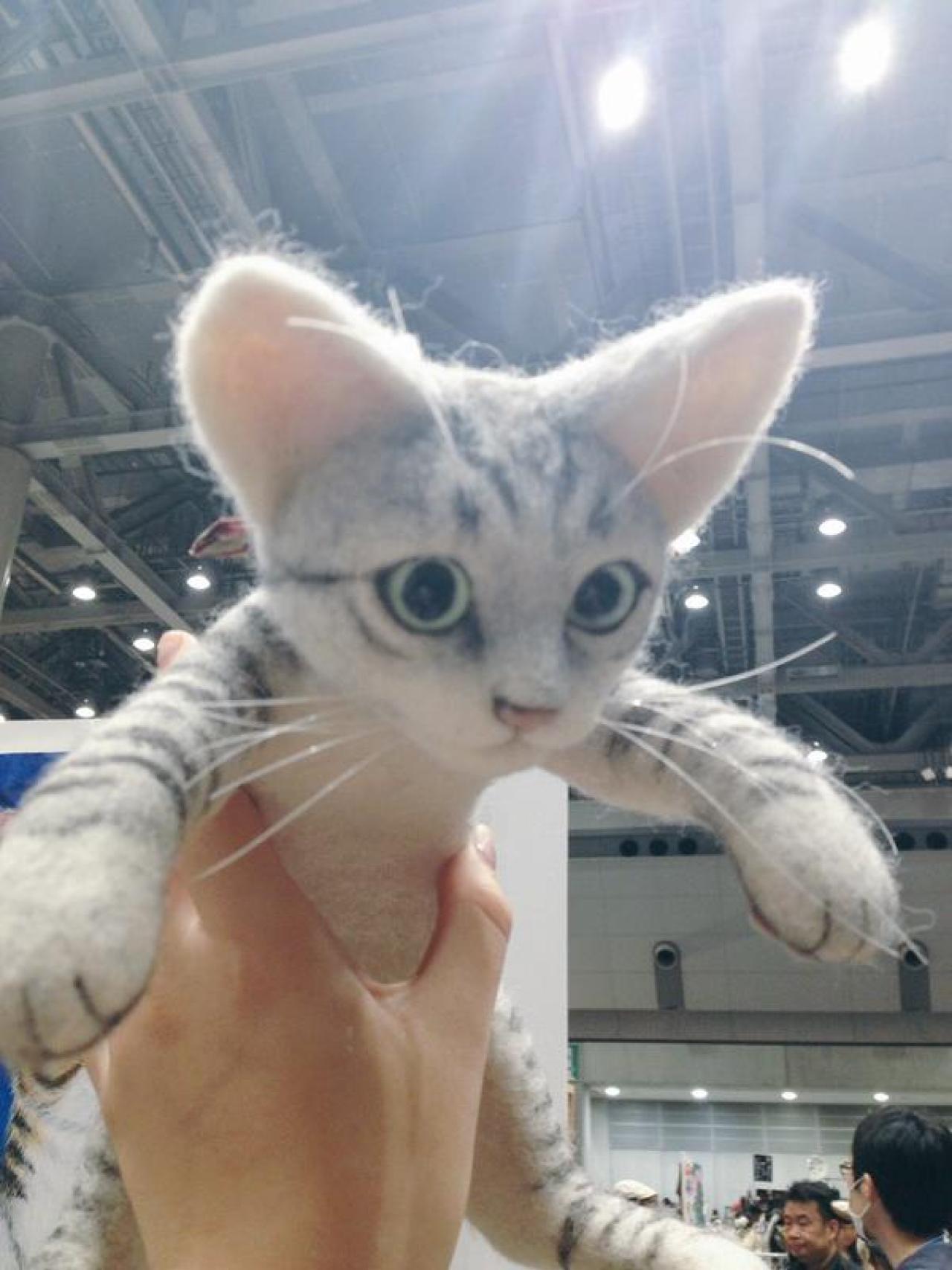 扒在头上猫咪玩偶无发箍款微侧面