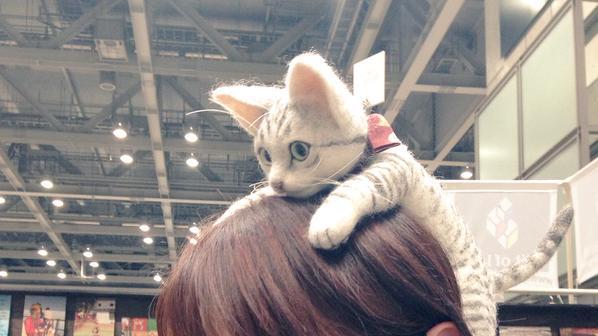 扒在头上猫咪玩偶无发箍款的佩戴效果侧面照