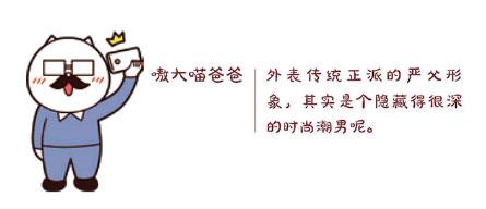 嗷大喵爸爸介绍