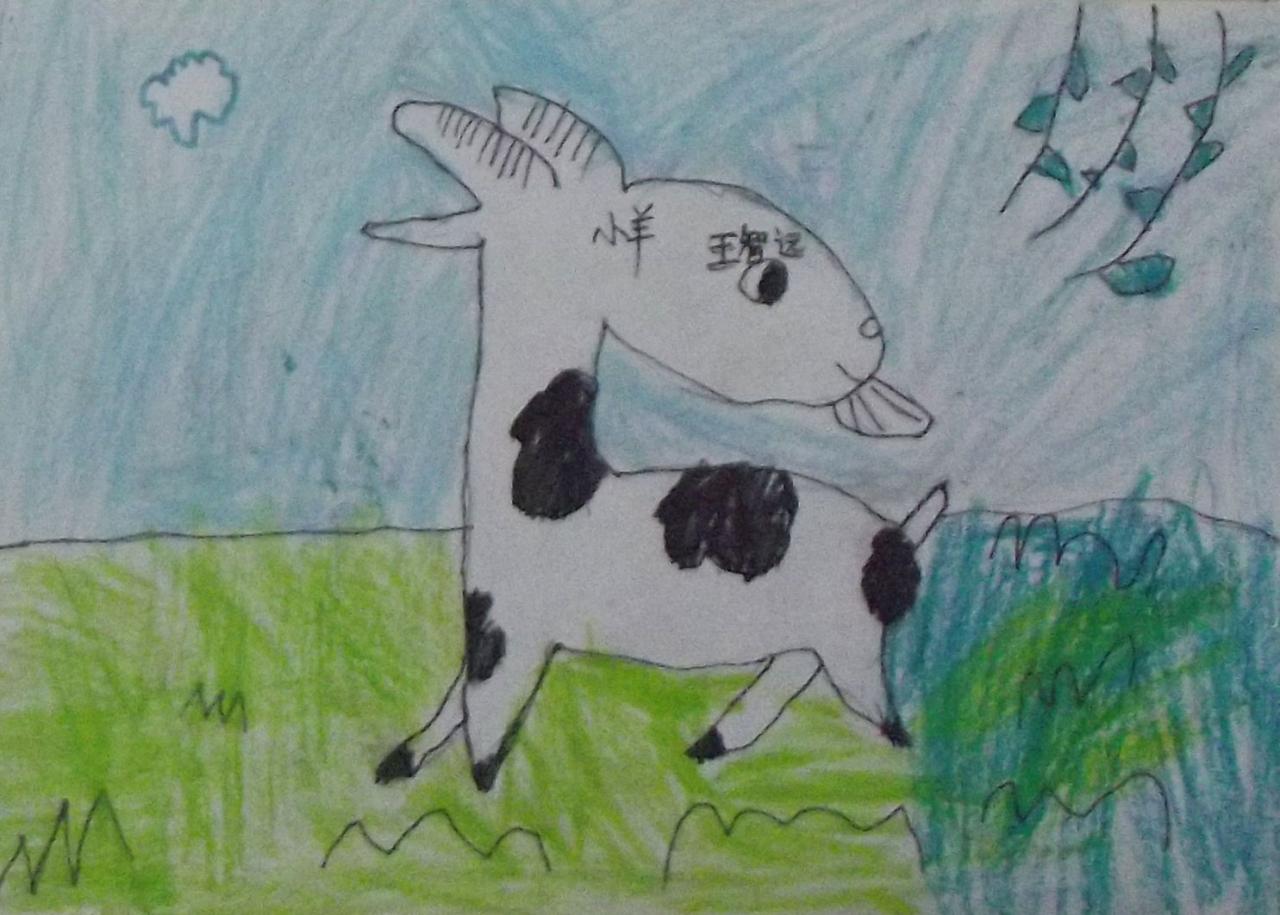 小羊 王智远画