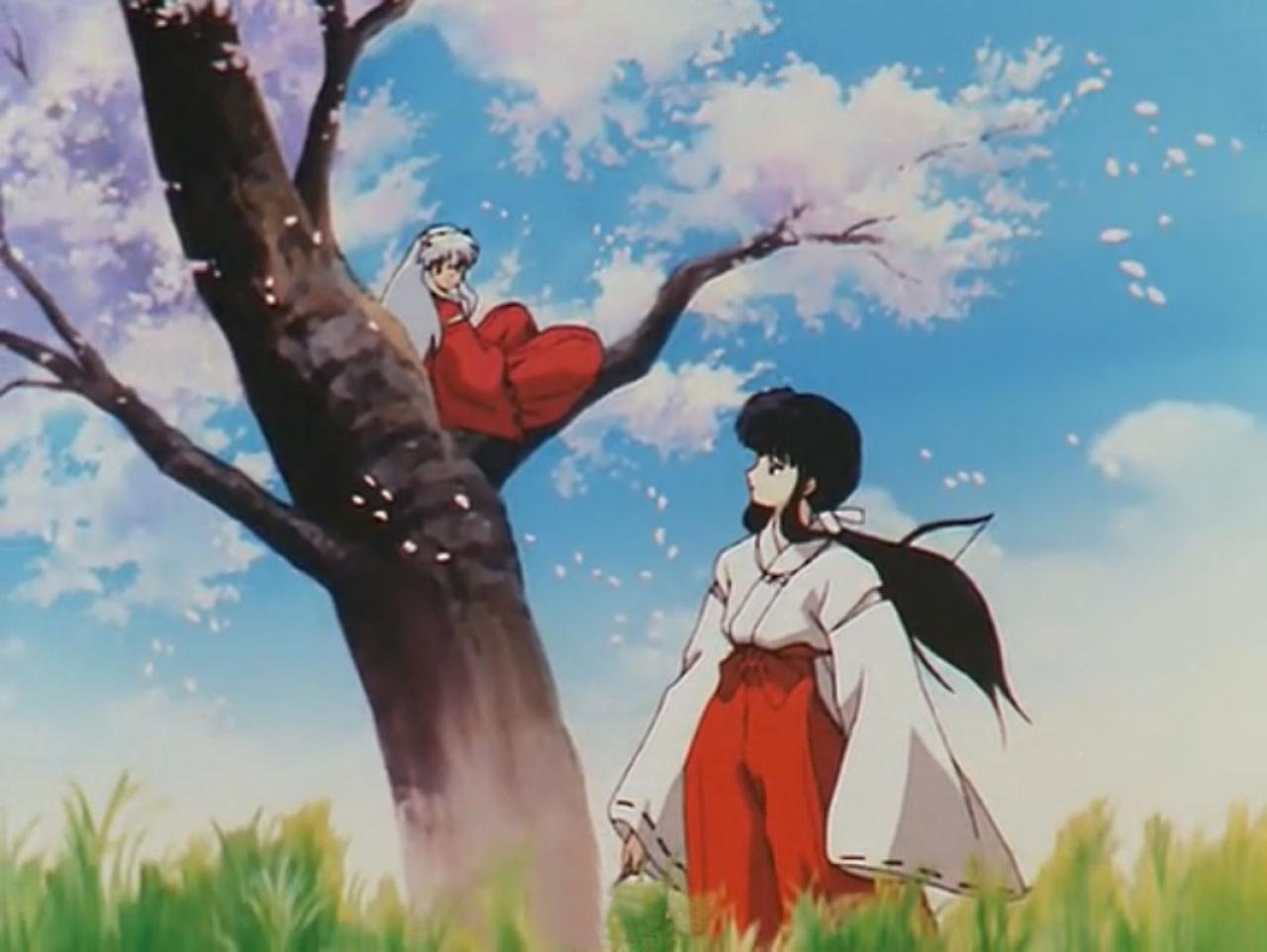 犬夜叉中，桔梗和犬夜叉在樱花时节相恋的情景