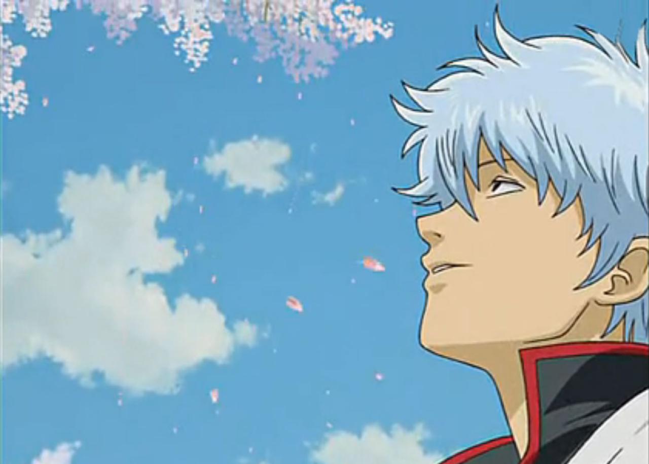 银魂·赏樱篇中，坂田银时斟酒，抬头仰望樱花的场景