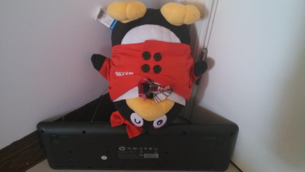 倒立在键盘上的QQ公仔