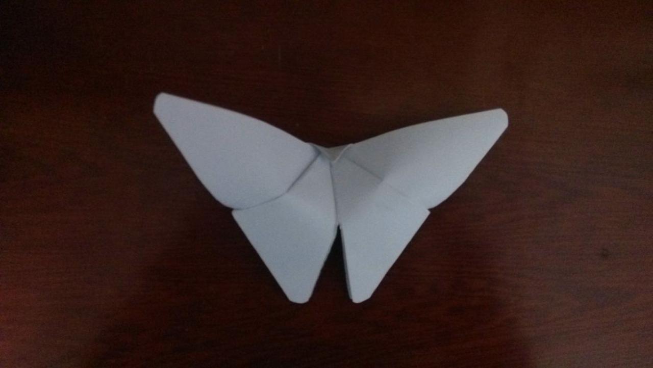 折叠好的纸蝴蝶结