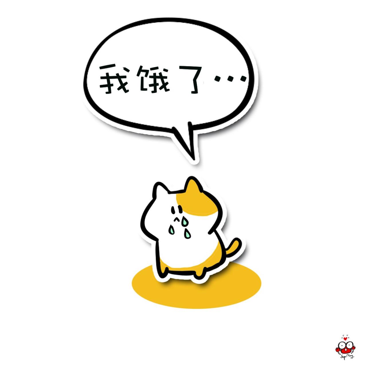 猫咪泪流满面表情：我饿了……