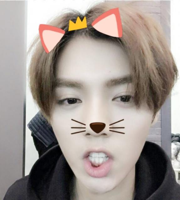 戴着粉红猫耳和王冠，留着猫胡子的鹿晗表情