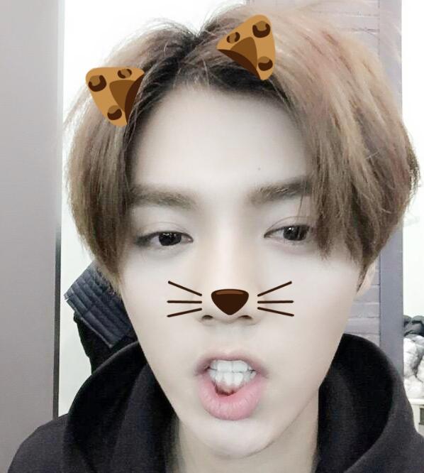 戴着棕色猫耳和猫胡子的鹿晗表情