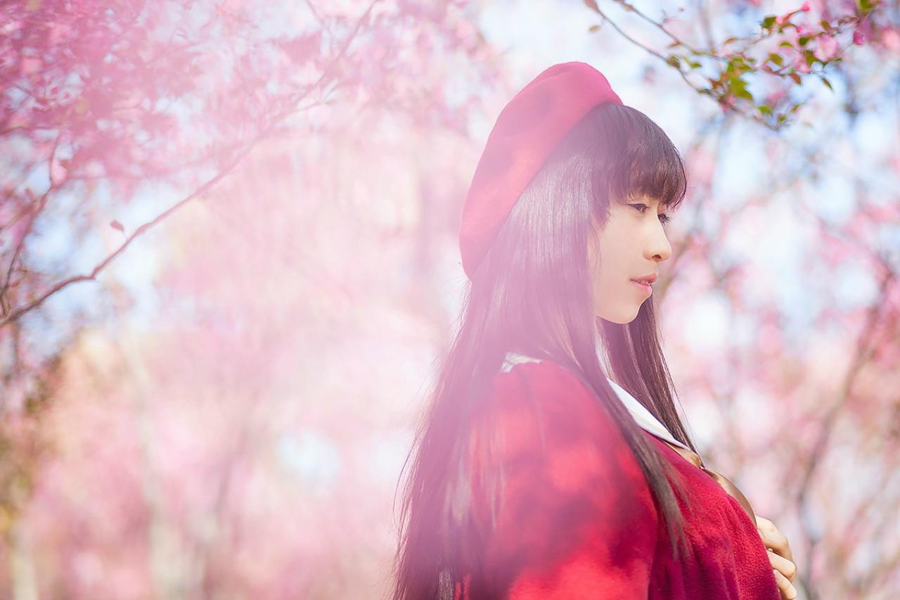 北北侧身站在樱花林中 上半身 横幅