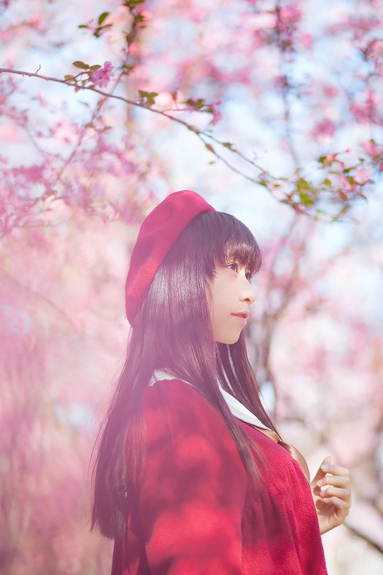 北北侧身站在樱花林中 上半身 立幅