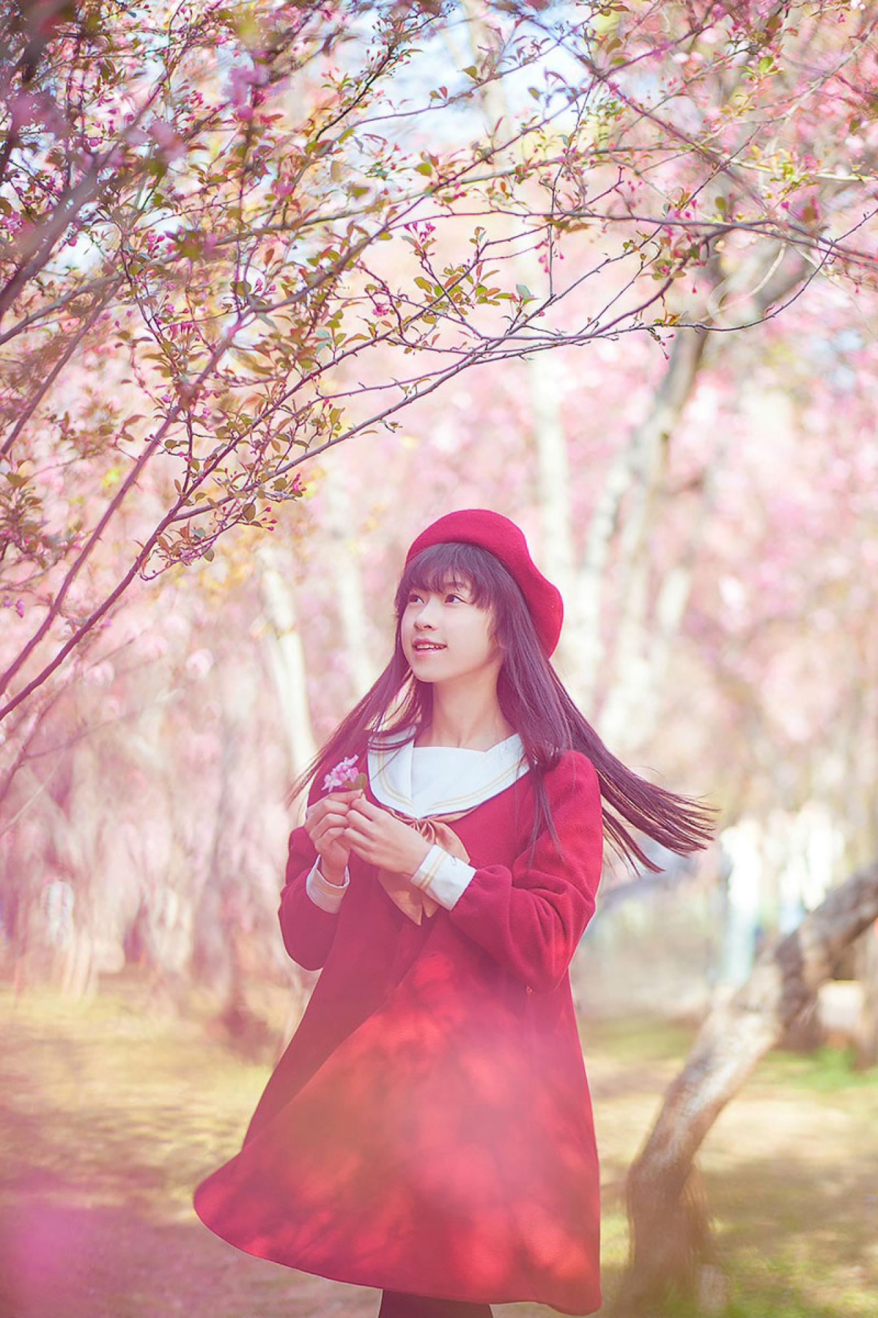 北北拾起一朵樱花，仰望樱花树