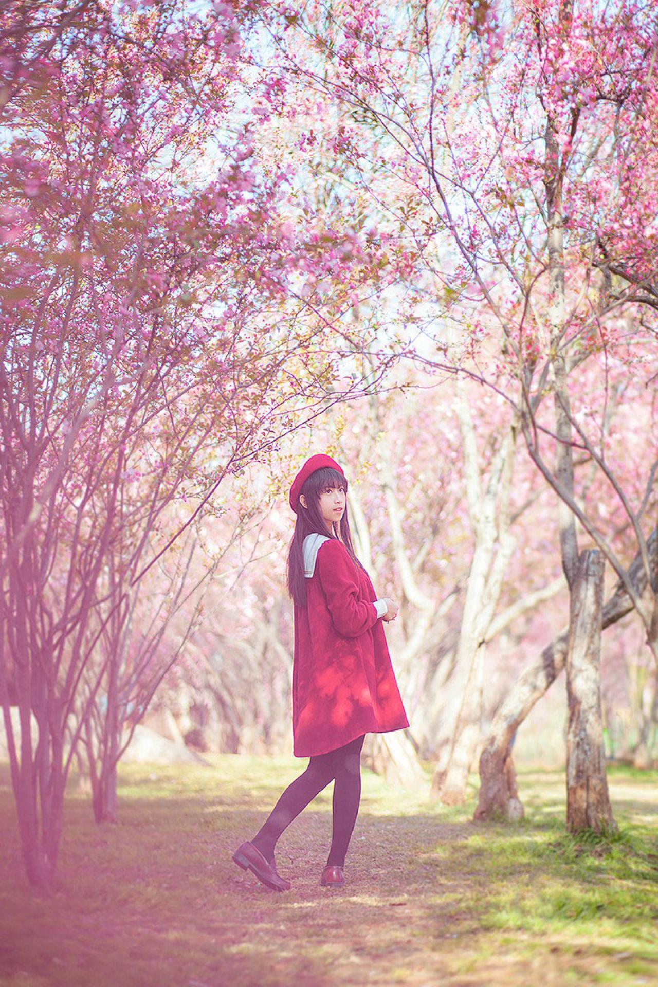 北北侧身站在樱花林中 全身 立幅