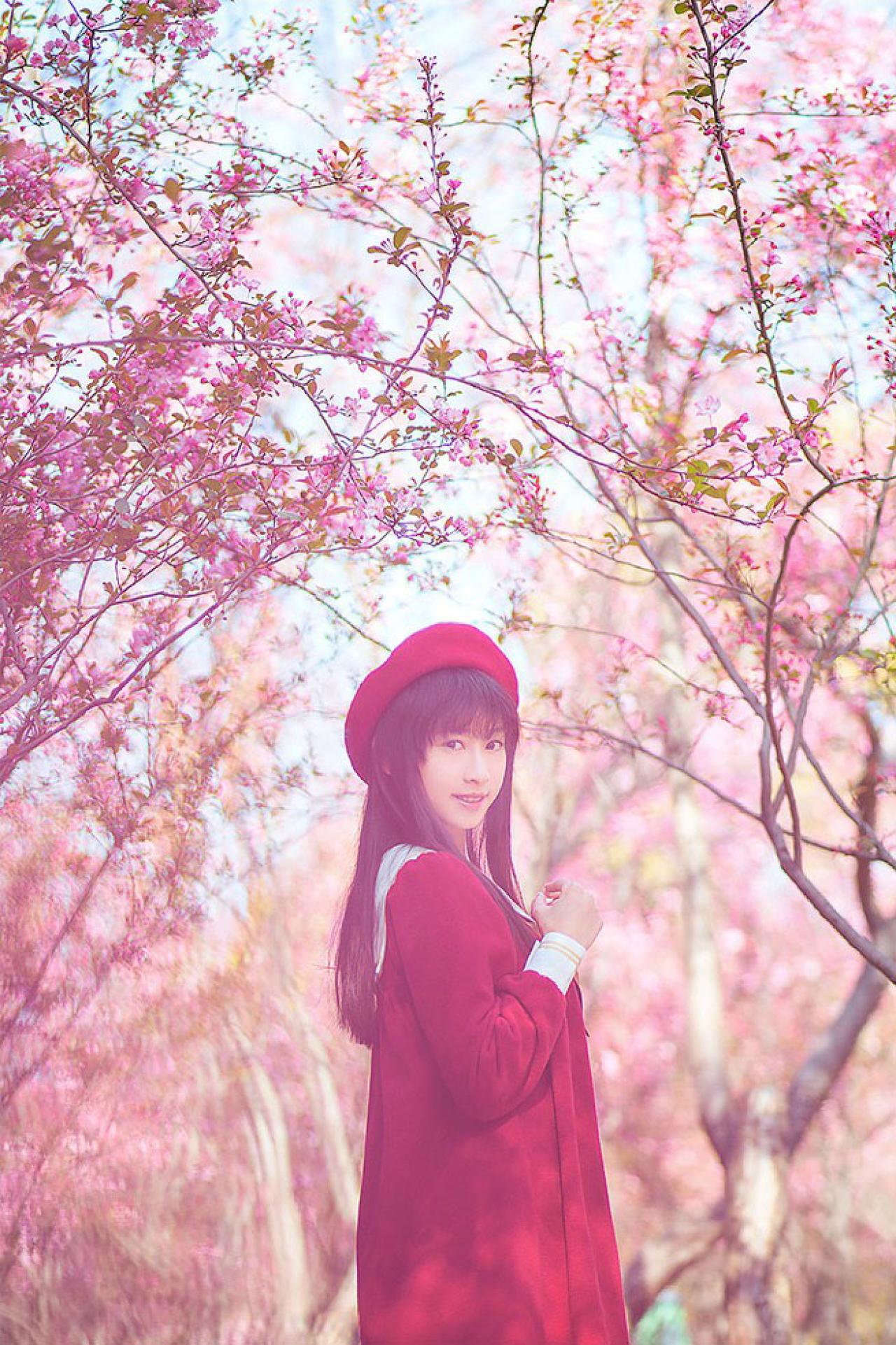 北北站在樱花林间 回眸 侧身 立幅