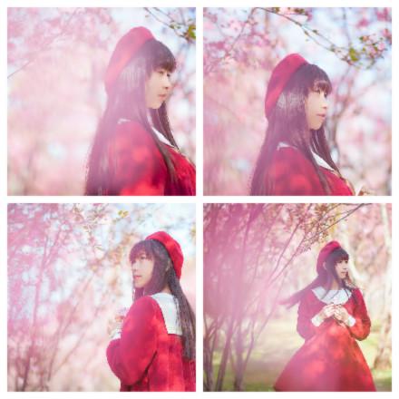 萌妹子北北在樱花林间 头像