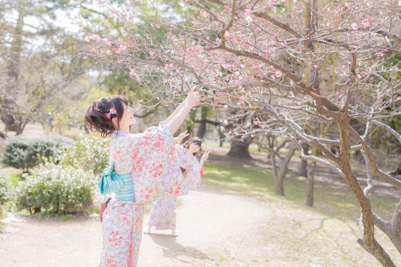 雪瀬 ハル伸手触碰樱花