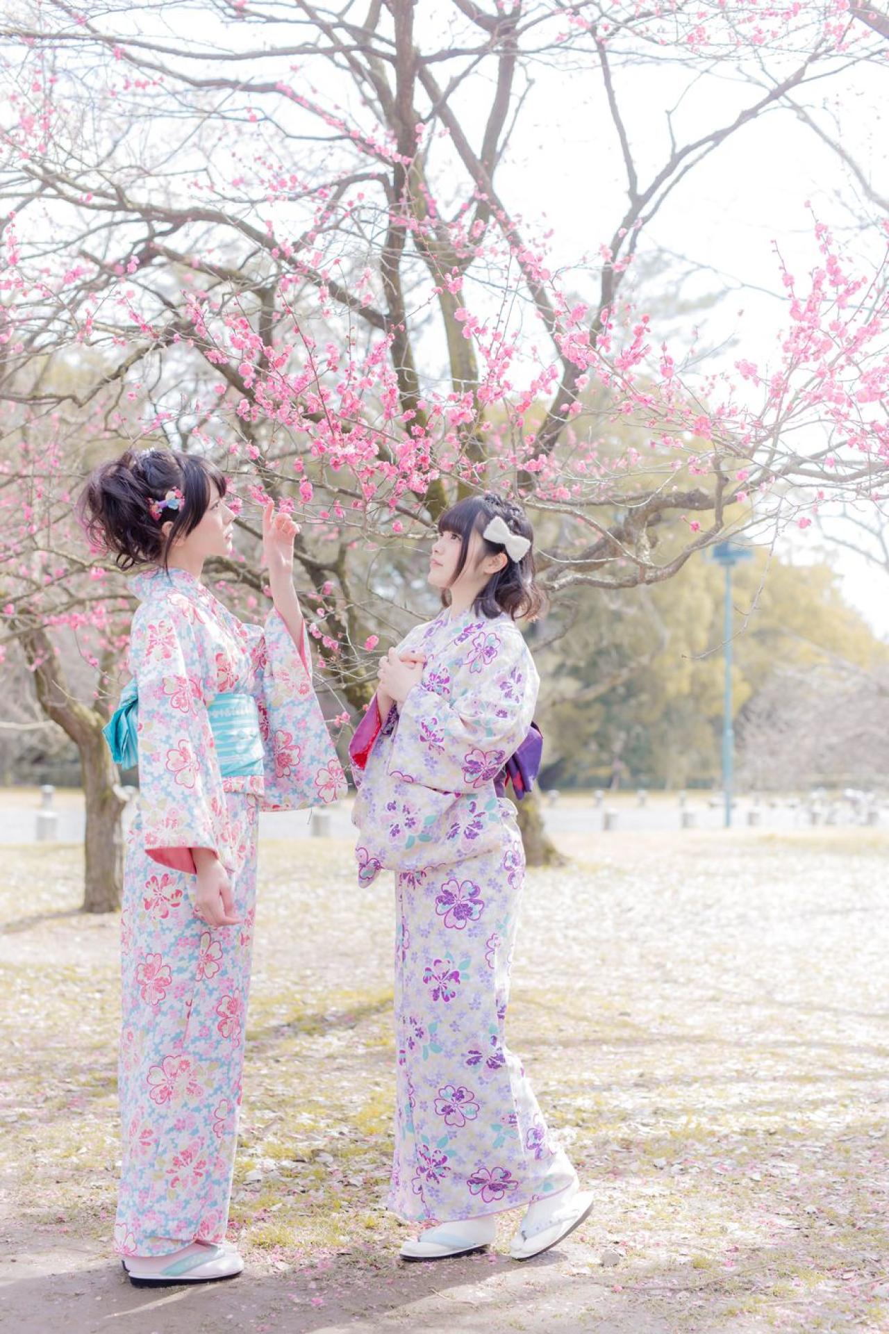 雪瀬 ハル和三夏站在樱花树下