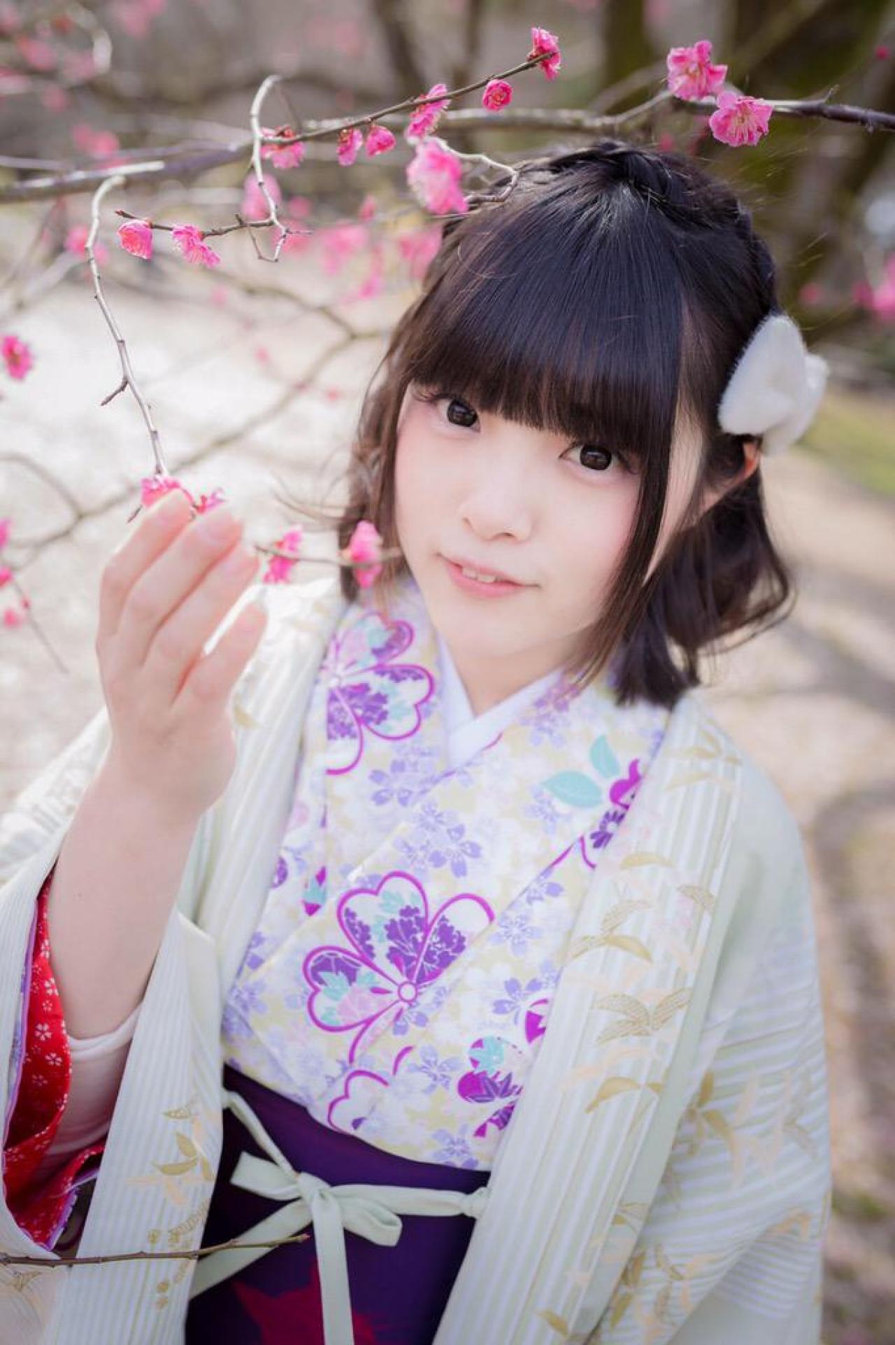 三夏（みっか）轻扶樱花枝条