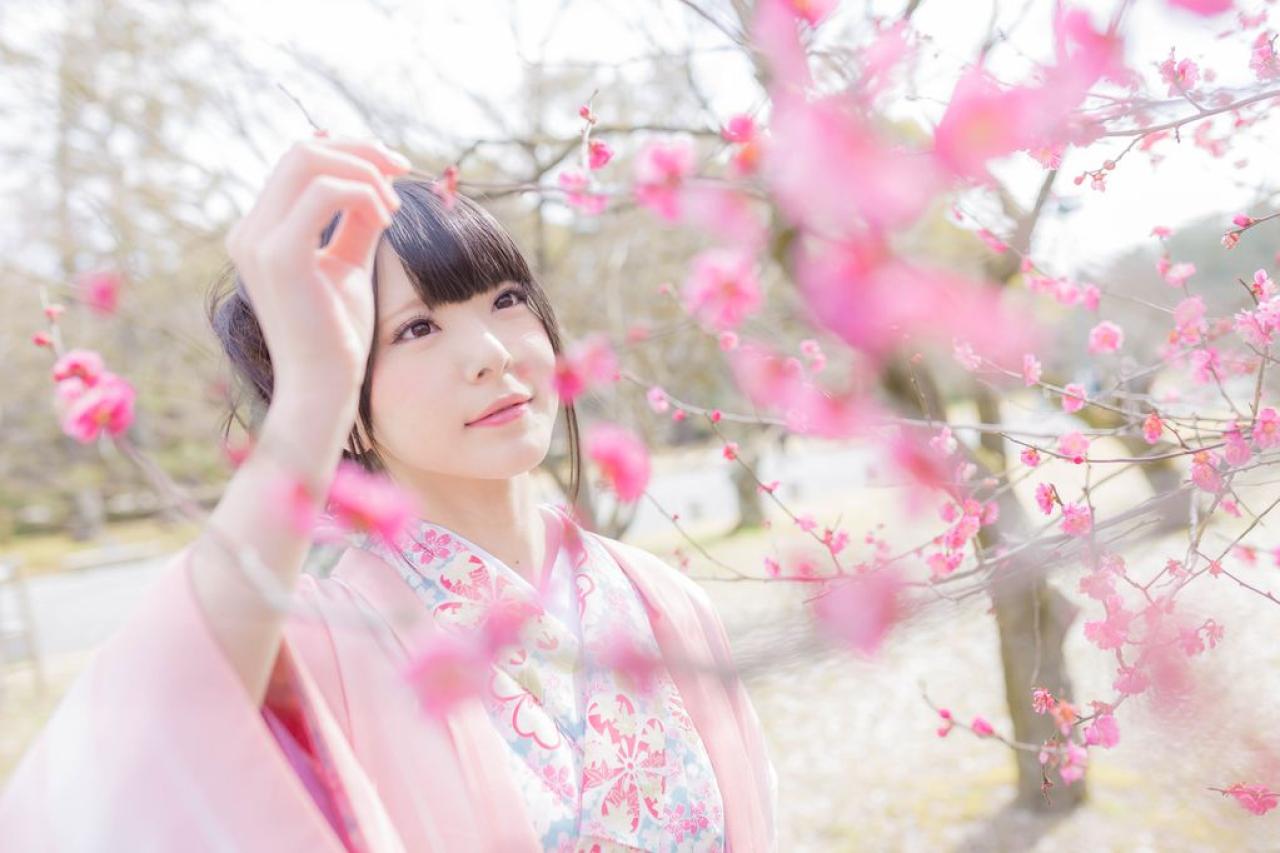 雪瀬 ハル轻捏樱花的花枝