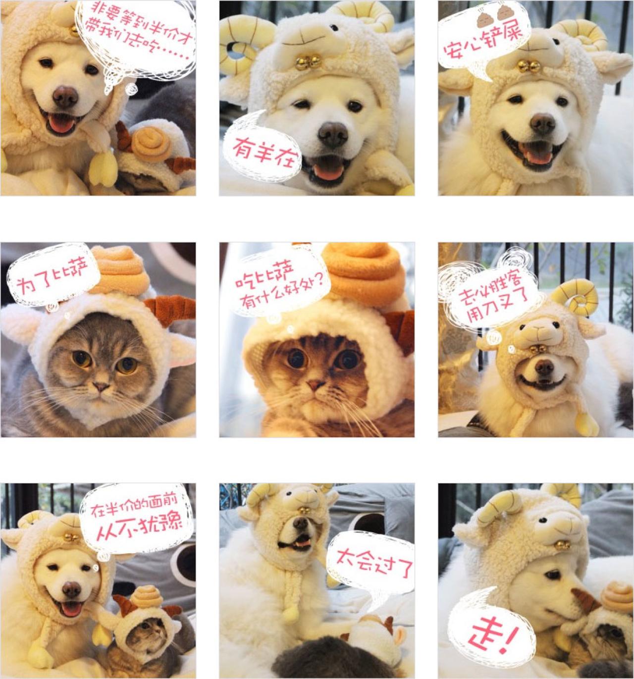 端午和妞妞扮羊必胜客动态表情 预览图