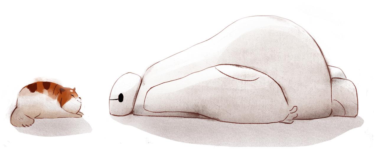 猫咪和大白面面相觑地趴着