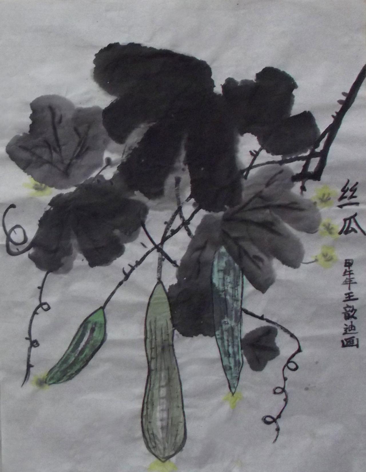 丝瓜 王歆迪画