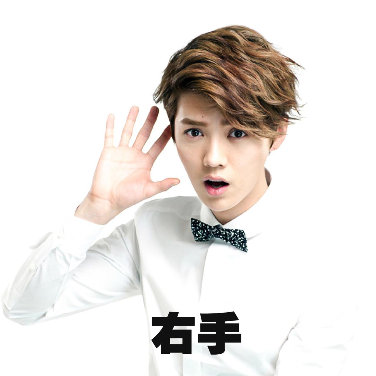 伸出五指的鹿晗表情：右手
