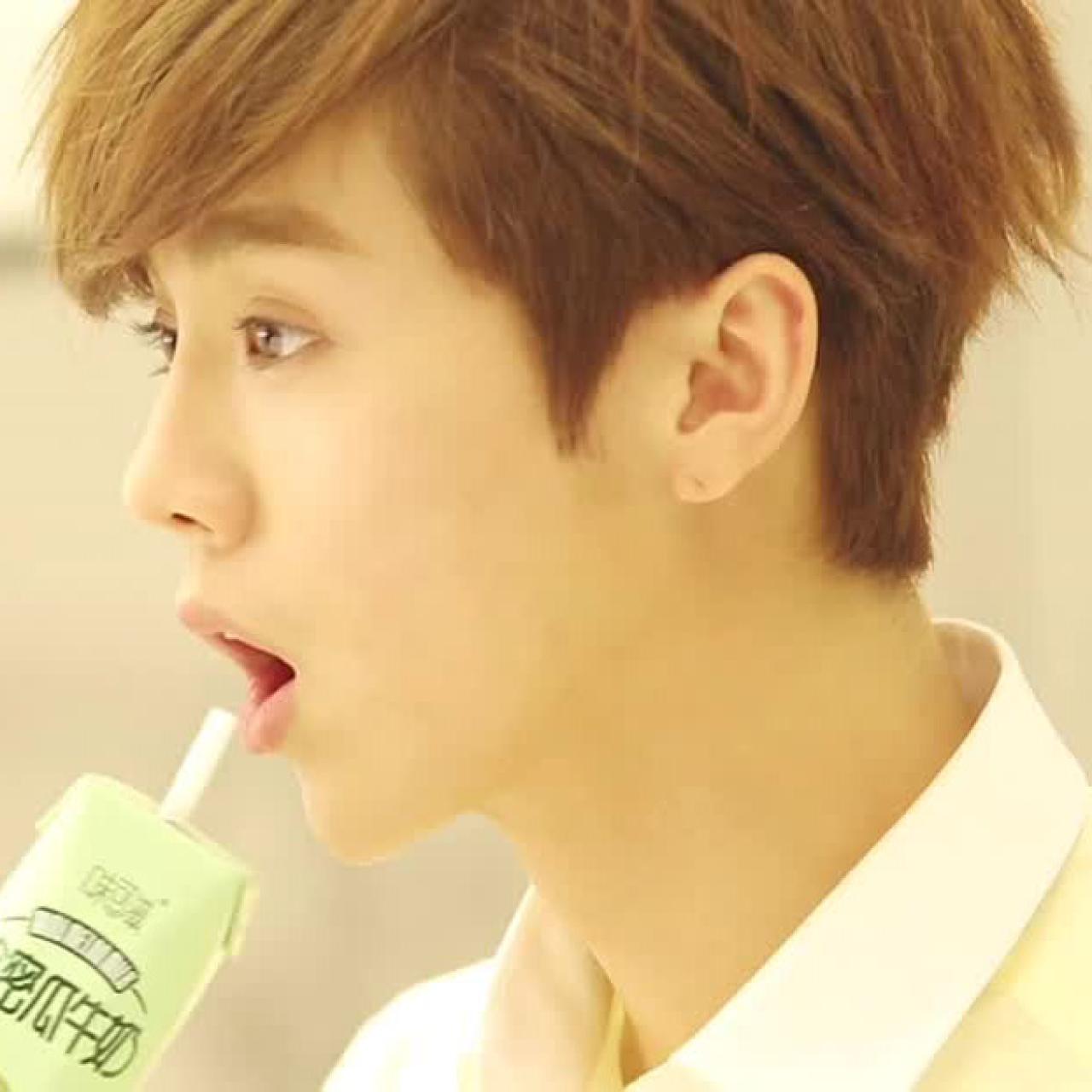 喝着哈密瓜牛奶的鹿晗头像