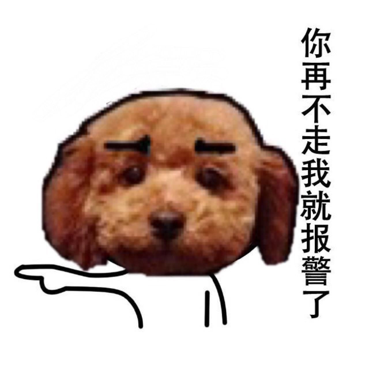 萌宠狗狗嘟嘟表情：你再不走我就报警了