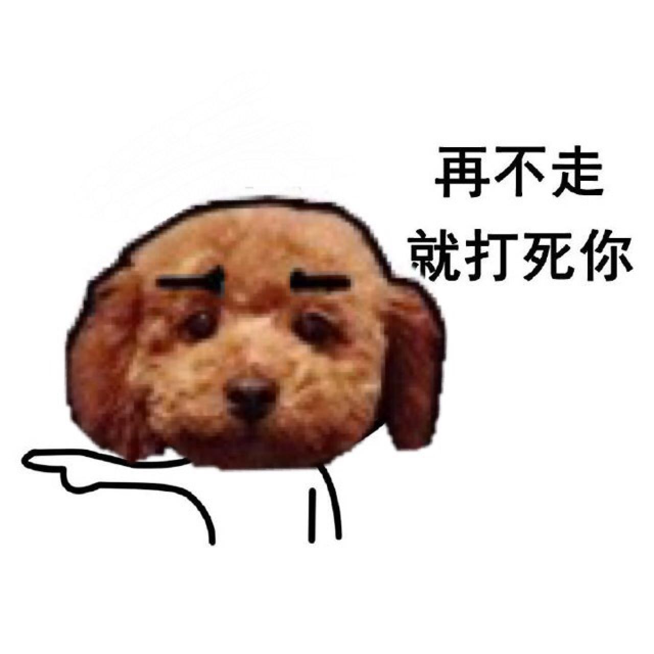 萌宠狗狗嘟嘟表情：再不走就打死你