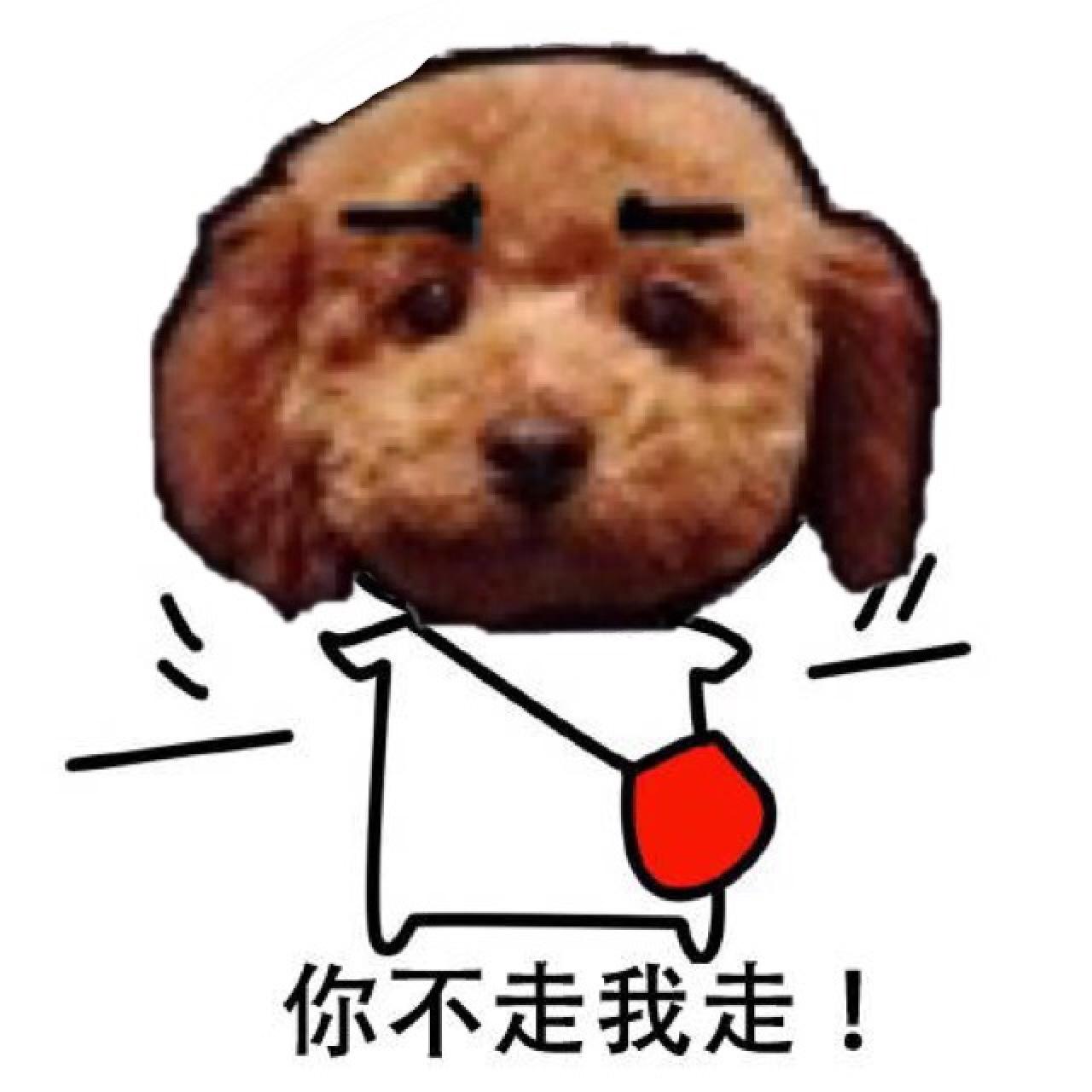 萌宠狗狗嘟嘟表情：你不走我走！