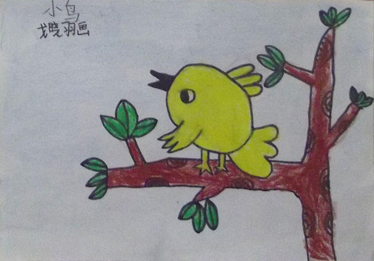 小鸟 戈晓羽画